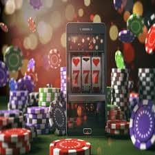 Adult Bangladesh sports user checking 6555bet guide with clear navigation